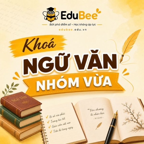 Khóa Ngữ Văn Cơ Bản - Nhóm Vừa