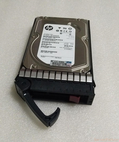 11564 Ổ cứng HDD sata HP 1tb 7.2k 3.5