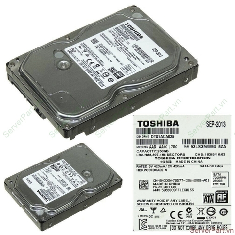 16918 Ổ cứng HDD SATA Dell 250Gb 7.2K 3.5