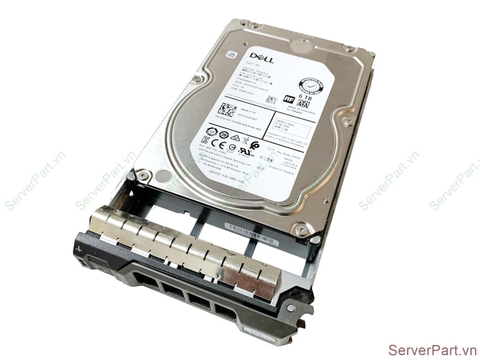 17240 Ổ cứng HDD SATA Dell 6TB 7.2K 3.5