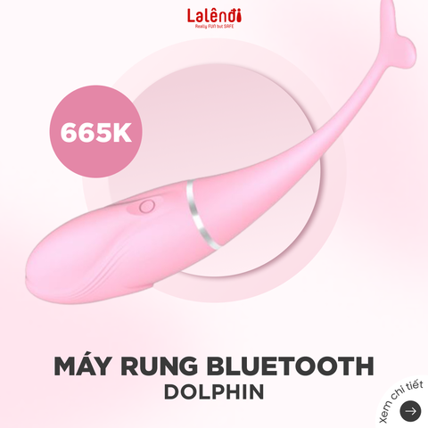 Máy Massage Dolphins