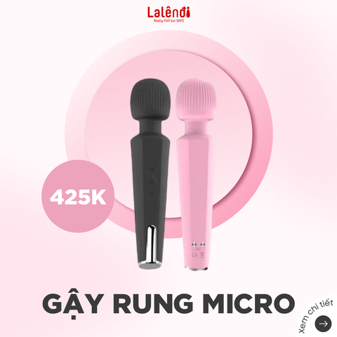 Gậy Micro