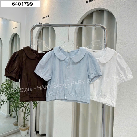 ÁO CỔ SEN 64 1799