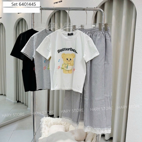 SET GẤU BEAR 64 1445