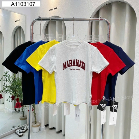 ÁO THUN MARANATA 5595