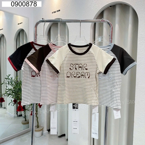 ÁO THUN SỌC WT50815