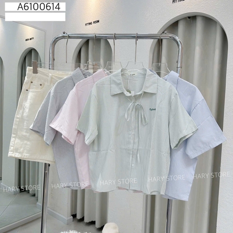 SƠ MI SỌC 8 17225