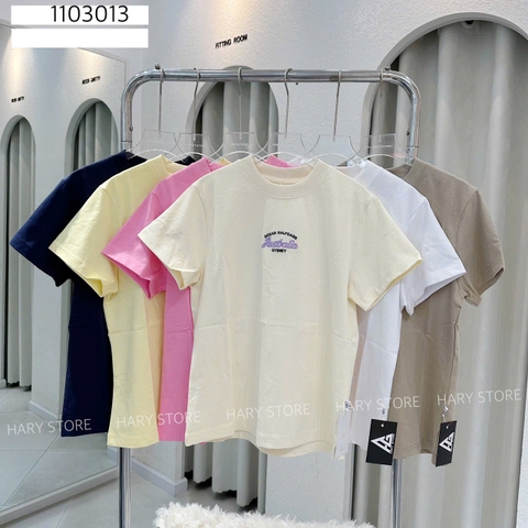 ÁO THUN CHỮ THÊU 11 3013