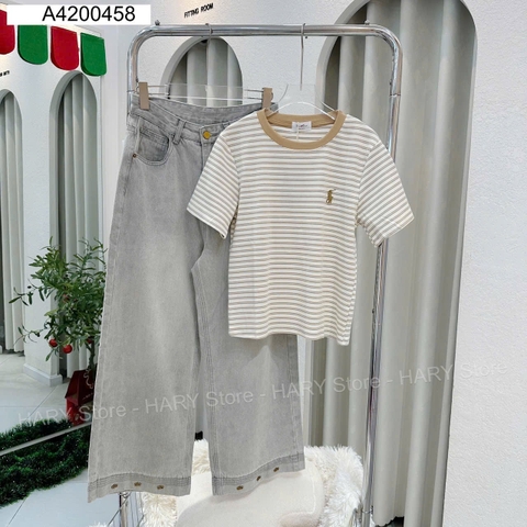 ÁO THUN SỌC 42 458