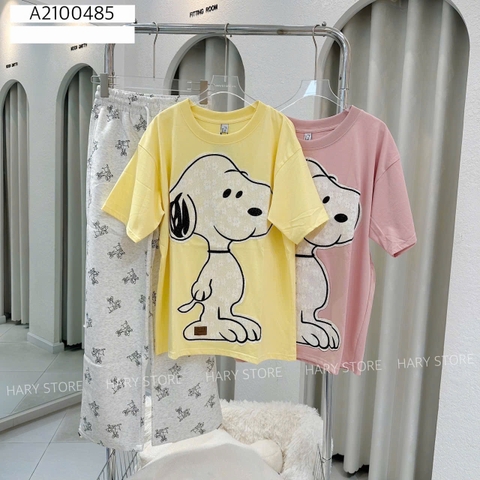 ÁO THUN CHÓ 21 485