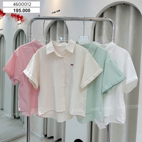 SƠ MI NƠ NGỰC TRÁI