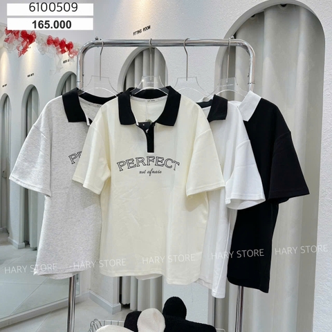 ÁO THUN PERFECT