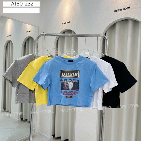 ÁO THUN BANG NHẠC 6065