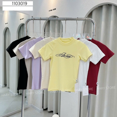 ÁO THUN CHỮ 1103019