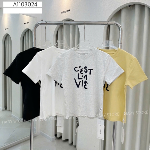 ÁO THUN CHỮ 11 3024