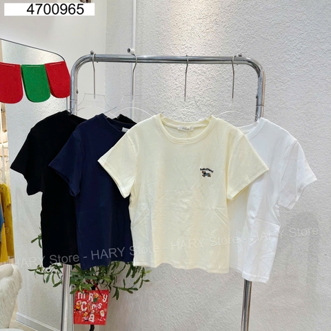 ÁO THUN CHÓ 47 965