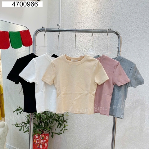 ÁO THUN TRƠN 47 966