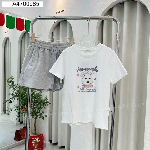 ÁO THUN POMANT 8561