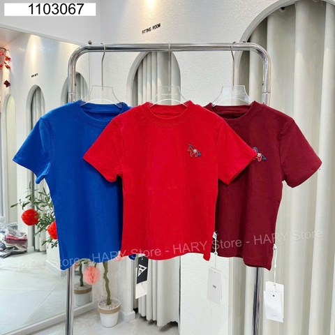 ÁO THUN THÊU NGỰA 5571