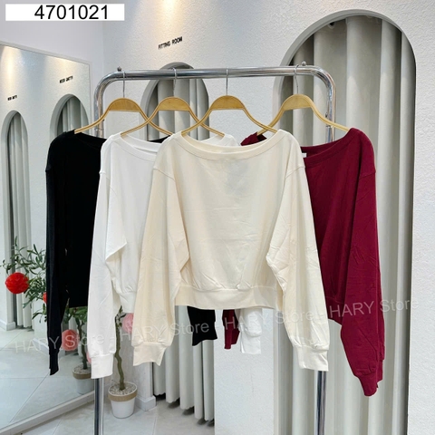 ÁO KIỂU 47 1021