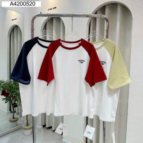 ÁO THUN SAN FRAN 6383