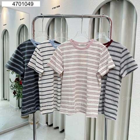 ÁO THUN SỌC 11156