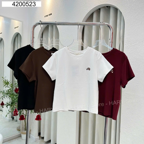 ÁO THUN GẤU 42 523