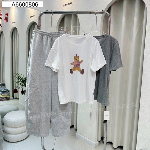 ÁO THUN GẤU 53608