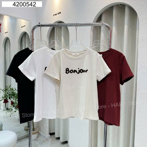 ÁO THUN 42 542