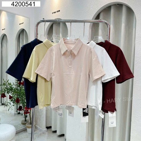 ÁO THUN 42 541