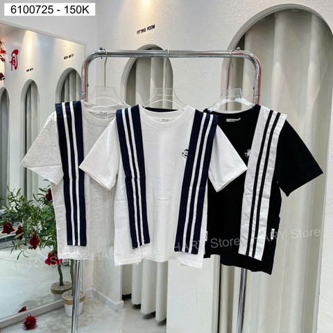 ÁO THUN GẤU 391154