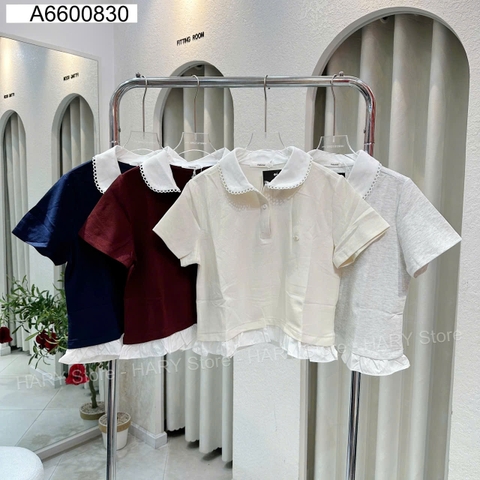 ÁO THUN CỔ SEN 2015