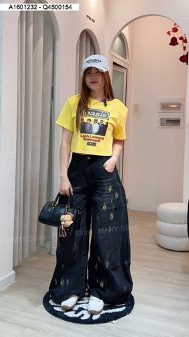 ÁO THUN BANG NHẠC 6065