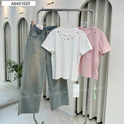 ÁO THUN ĐÍNH VIỀN CỔ 2306