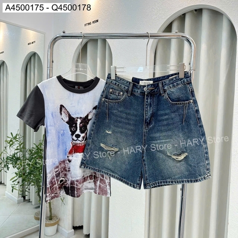JEAN 66293#