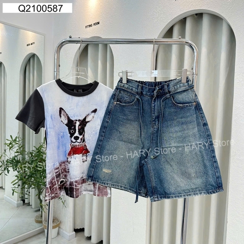 JEAN ZZ 2879