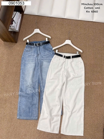 JEAN 6560