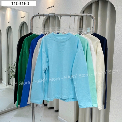 ÁO THUN FORM RỘNG TD 2619.10
