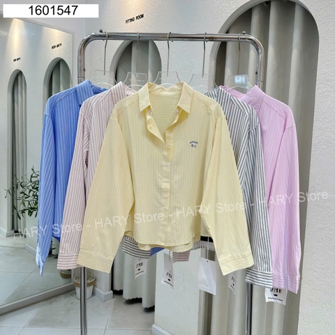 SƠ MI SỌC 6175