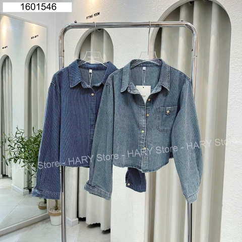 SƠ MI SỌC 3008