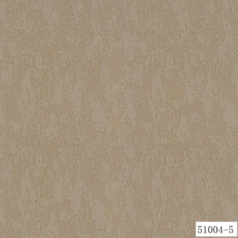 51004-5.jpg