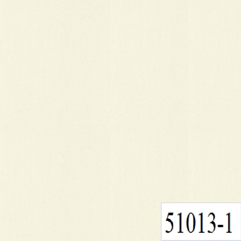 51013-1.jpg