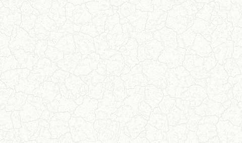 7705-2.jpg