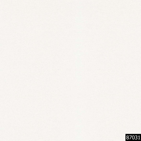 87031.jpg