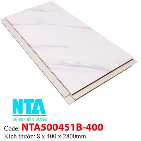 Tấm Ốp Tường NTA500451B-400
