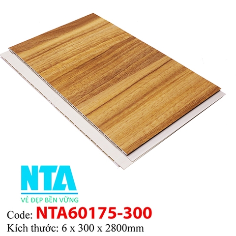 Tấm Ốp Tường NTA60175-300