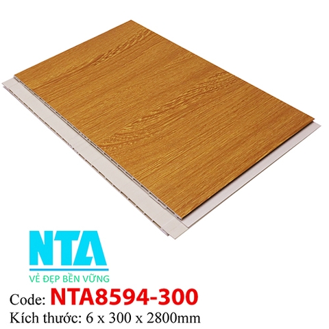 Tấm Ốp Tường NTA8594-300