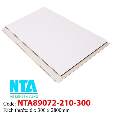 Tấm Ốp Tường NTA89072-210-300
