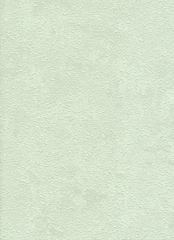 4215-2.jpg