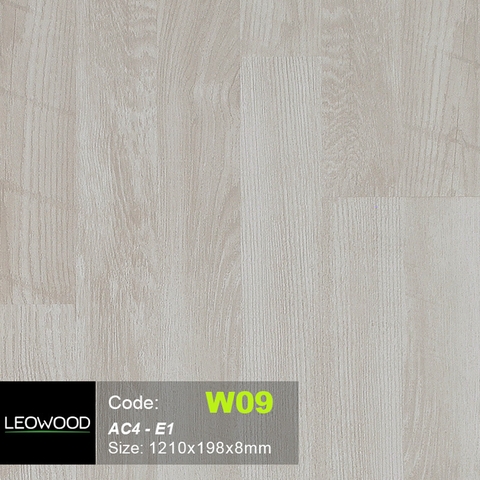 Sàn Gỗ LeoWood W09